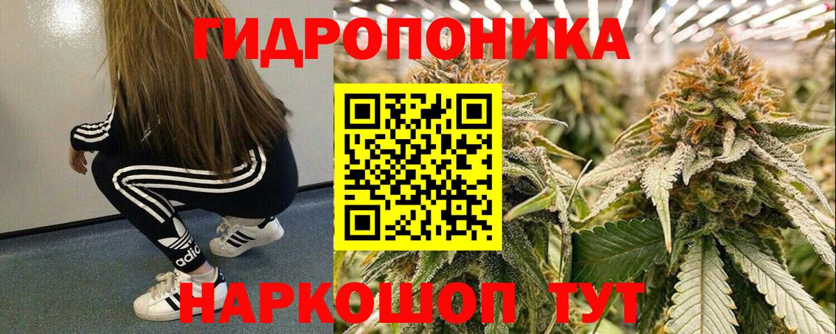 Каннабис ГИДРОПОН Морозовск